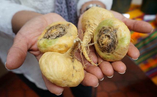 La maca pour augmenter la libido est une plante venue des Andes, est réputée pour ses propriétés stimulantes sur la libido et la fertilité.